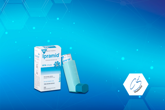 Thumb Ipramid